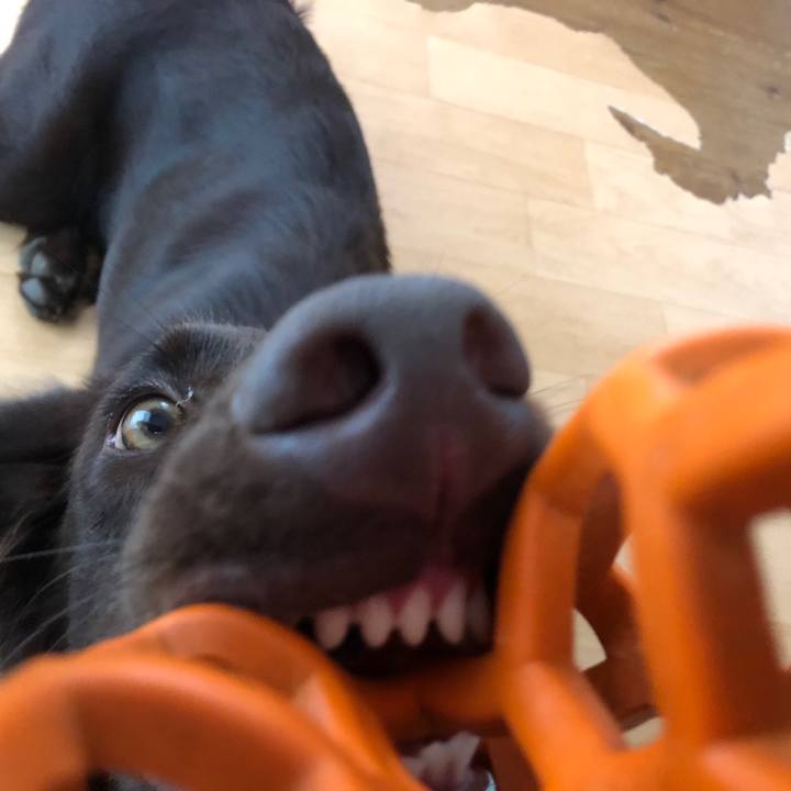 1eda7181 dd73 4fea 9fc5 7d100c0c7acf 1567813144403