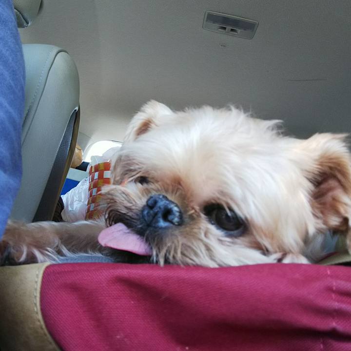 1eda9991 2725 42a8 9119 ef0c0222496a 1535254175947