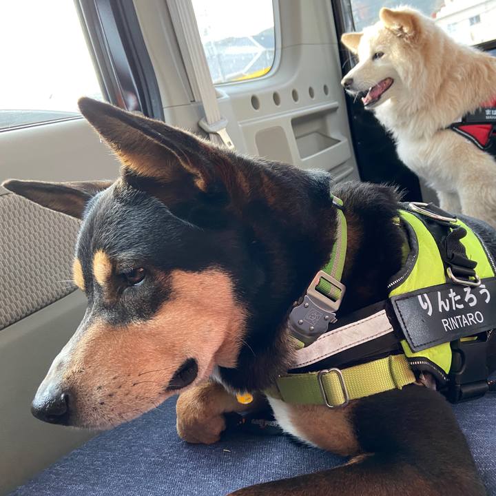 1edab07f 2a8a 44c6 b1dd 58c6984229d5 1678677436836