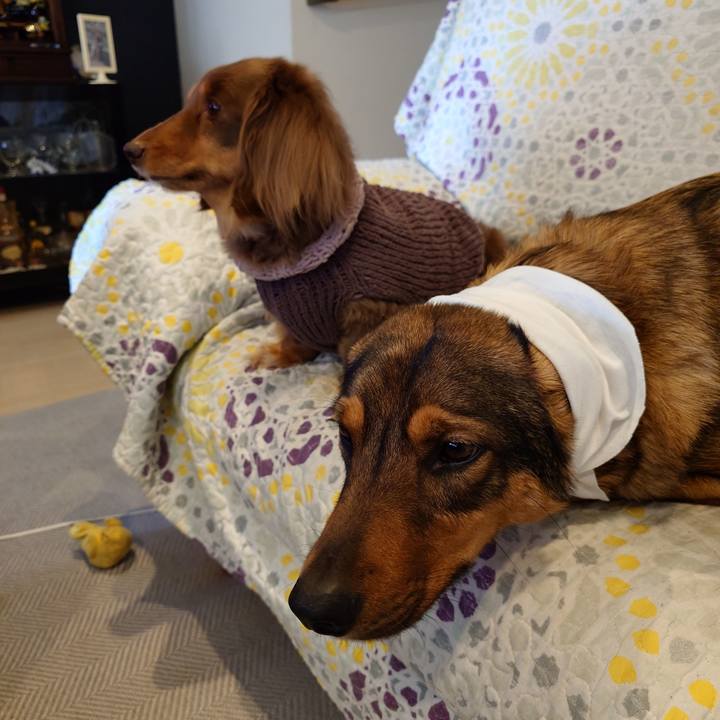 1edacea6 d3de 46d1 82d9 1acb83fa2c65 1742277737974