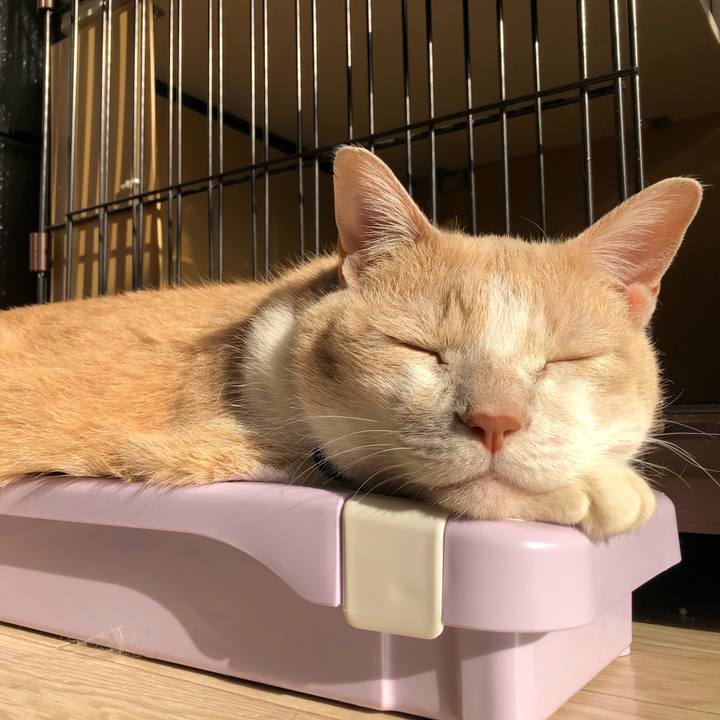 1edad70e 8690 4bc5 bbd5 2aa9c68dc51e 1553657671307