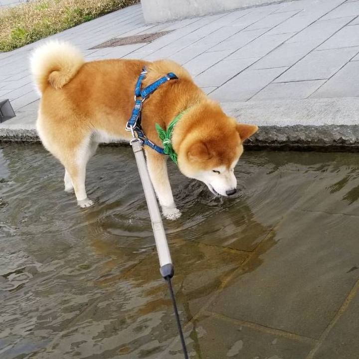 1edad92c 6f63 40f8 828e eab7871f551f 1557043437729