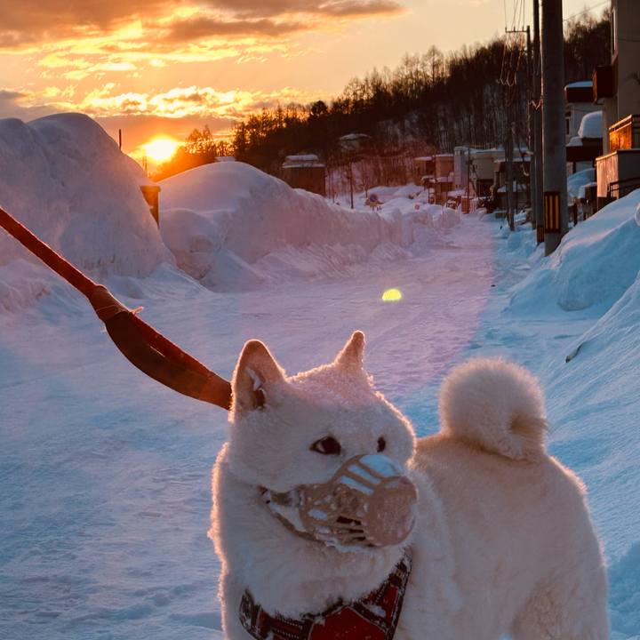 1edada27 f1b5 45e5 b6df 9fce605629d3 1771279970278