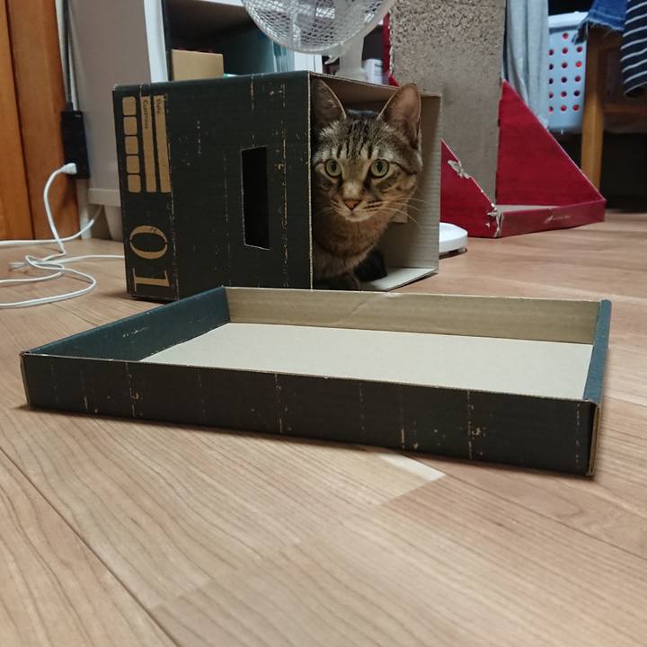 1edade94 597f 443c b0ff 5cdea9f64ebd 1561650368825