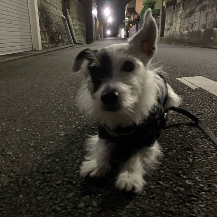 1edaf44d 69b8 4535 9173 0c59161051d8 1730982351672