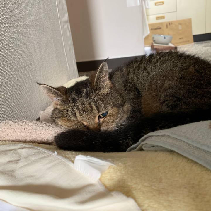 1edb0e05 1f39 4f51 9950 3d52b9c4a229 1563924366394