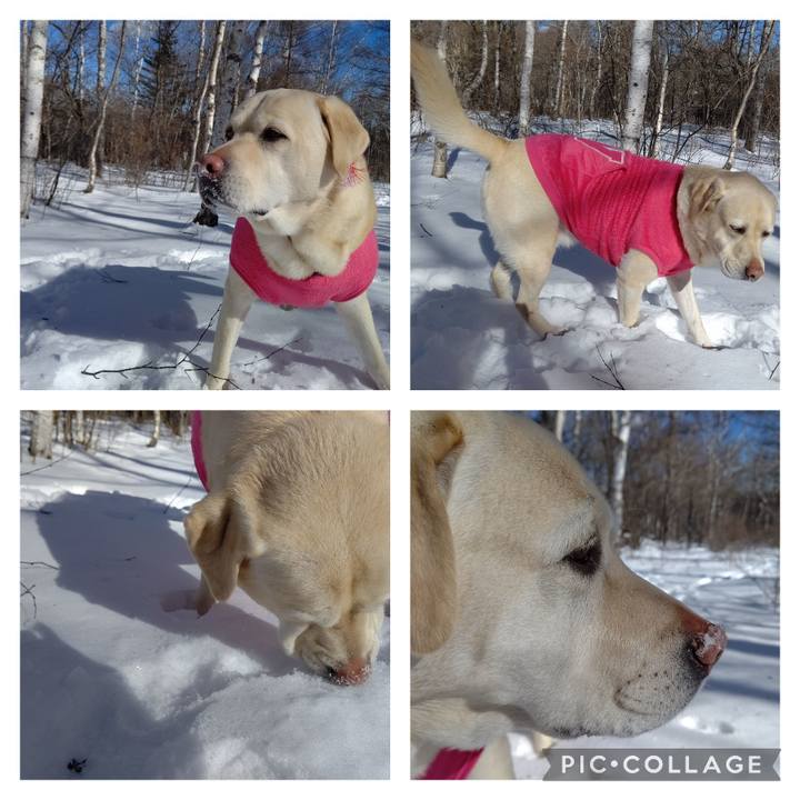 1edb17e8 4136 46fa a45d bf6f002d61b8 1672713704712