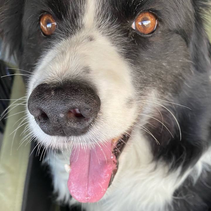 1edb312a fcba 46c4 a22e e7d66b0199df 1624095339566