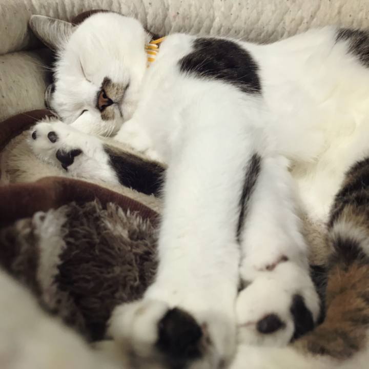 1edb5476 6259 48e1 bf0c 73263557a0a5 1587788562963