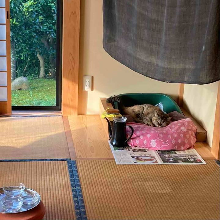 1edb705b 8106 41bf a323 02892a010ceb 1718938476539