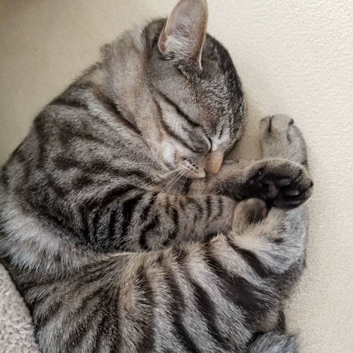 1edb7923 41be 4c7b 8007 9c4c03a7ce00 1673620219698