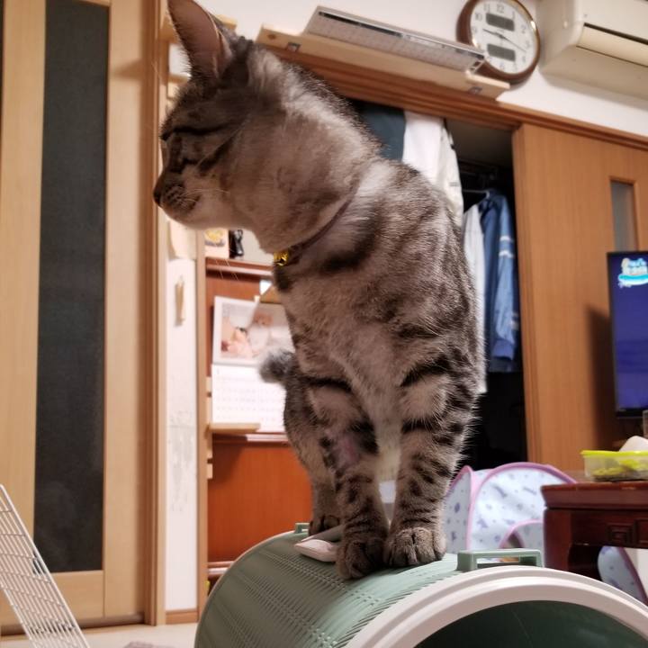 1edb792c c560 4c2e 8c7a 77a42677352b 1675173742802