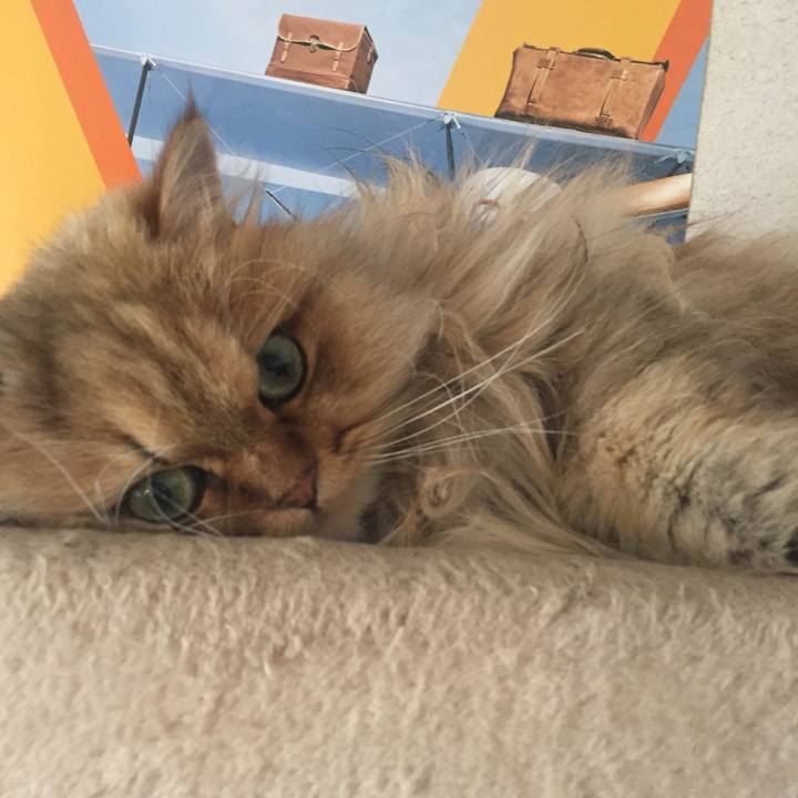 1edb8dee 3757 4916 b14a 3473af308328 1559974353130