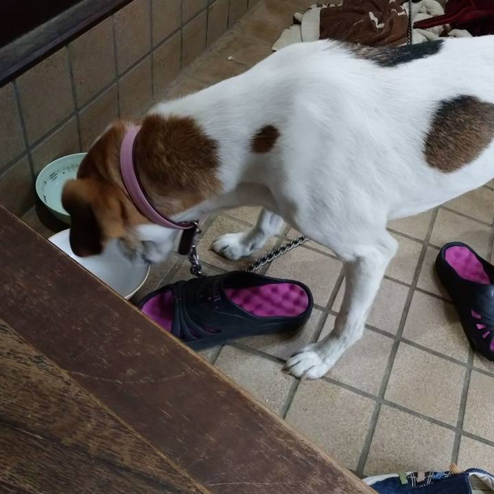 1edbce97 54bf 4fa8 8231 83965ad7e62e 1576636647139