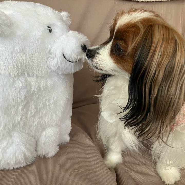 1edbd000 7a2e 431b 9a65 eba909c4fec7 1714875046859