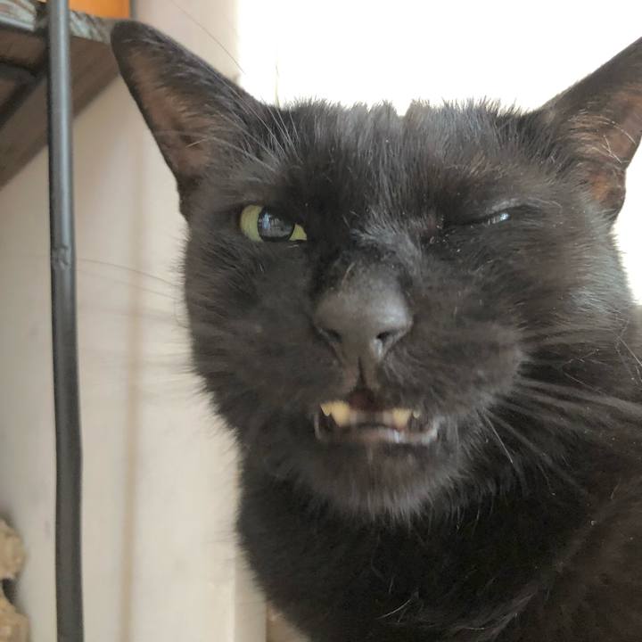 1edc132b bc64 41be 95ff 988a01510f09 1628300655941