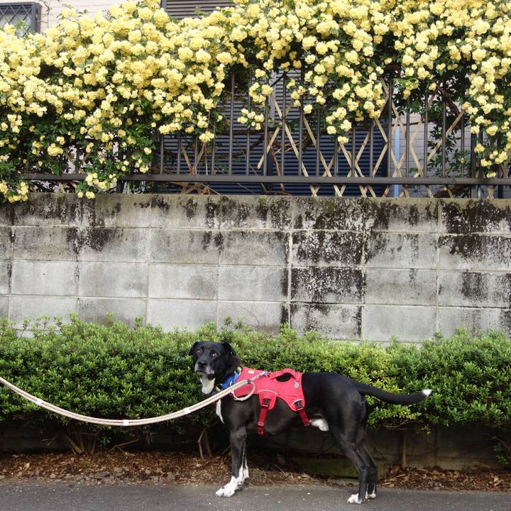 1edc2e73 1a39 445c 8ce7 ee8a6ed61814 1681706467600