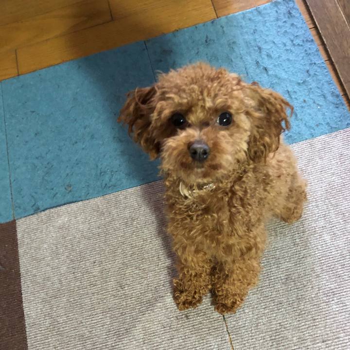 1edc62c8 3ece 4908 9464 7f51cb2cc1f9 1520807954995