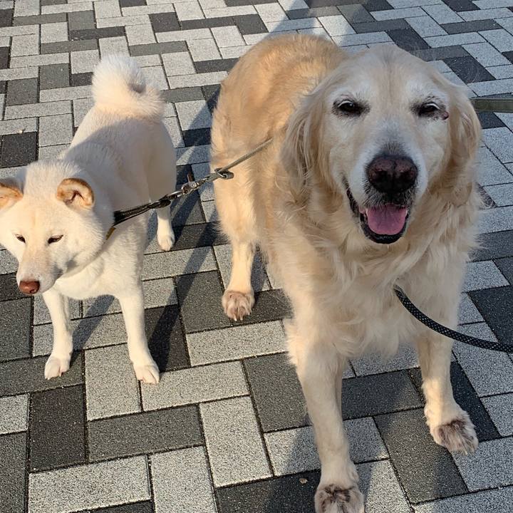 1edc665d c233 4200 8f63 a2ccb2a3652a 1555372100722