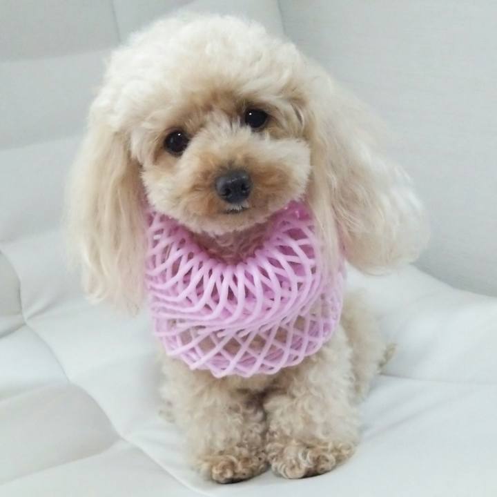 1edc709f 0880 4588 a571 cb715ac94eb1 1528710919982