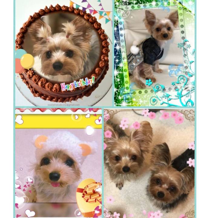 1edc9326 dad8 4d72 98e6 7925c1665e33 1548595594544