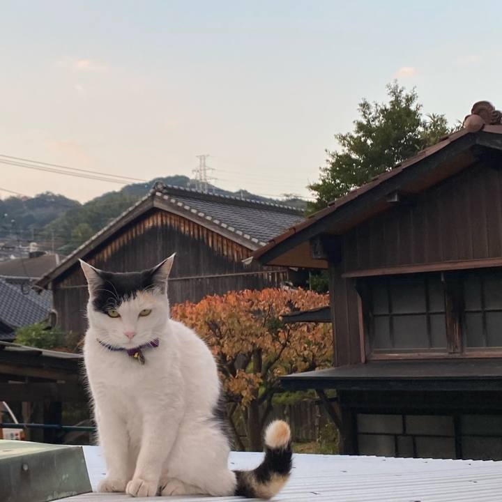 1edca553 838d 4611 b2aa d092e541db2b 1636929292360