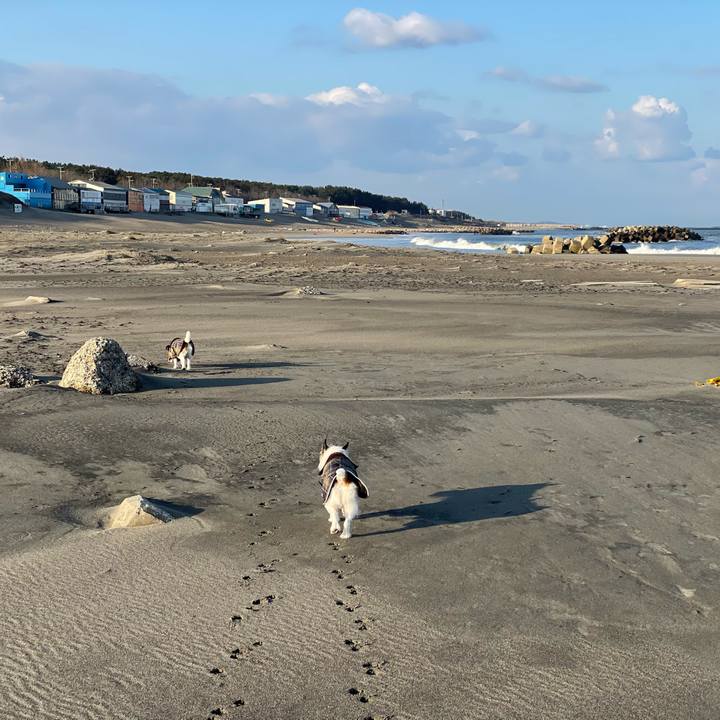 1edca57d c1d1 40cd 8ce5 460528dd9cf9 1742253870435