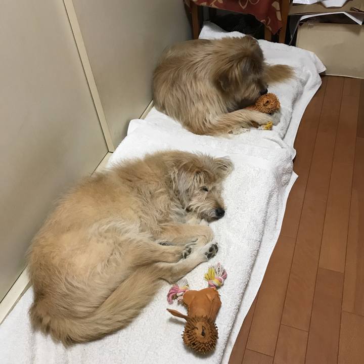 1edcbcd0 c9b0 4263 a77f 4676278e460e 1576316213249