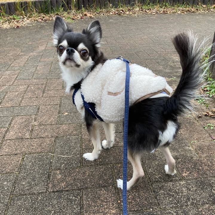 1edcc198 04eb 4561 8db8 6cda6b6244c9 1671288296777