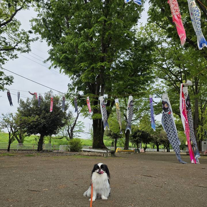 1edce21b 55cc 4438 9237 ecb72b577d08 1745461659625