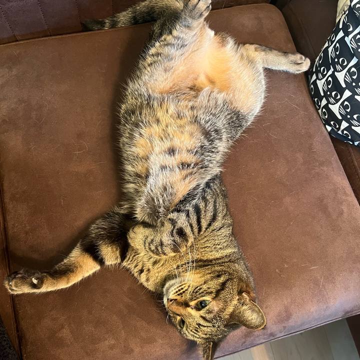 1edcec84 0b3f 4999 96d2 460a683db1f8 1759808945893