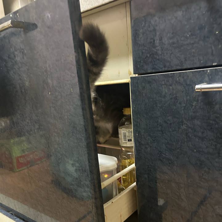 1edcef68 eb6e 4095 a288 2558268db5ab 1775139530582