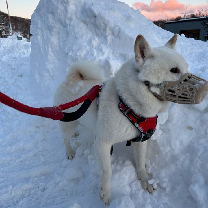 1edd1e47 480a 4e74 8980 08326d8cd304 1703284907419