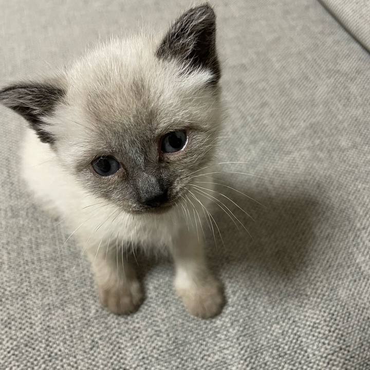 1edd49a4 c032 4545 93db bb5f1d4f1a10 1685046077288