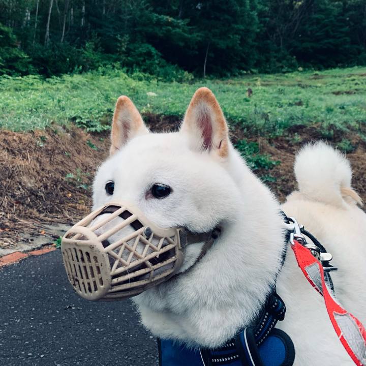 1edd4d6f decf 4c5c b07a 1b46ae2ef58a 1629059282628