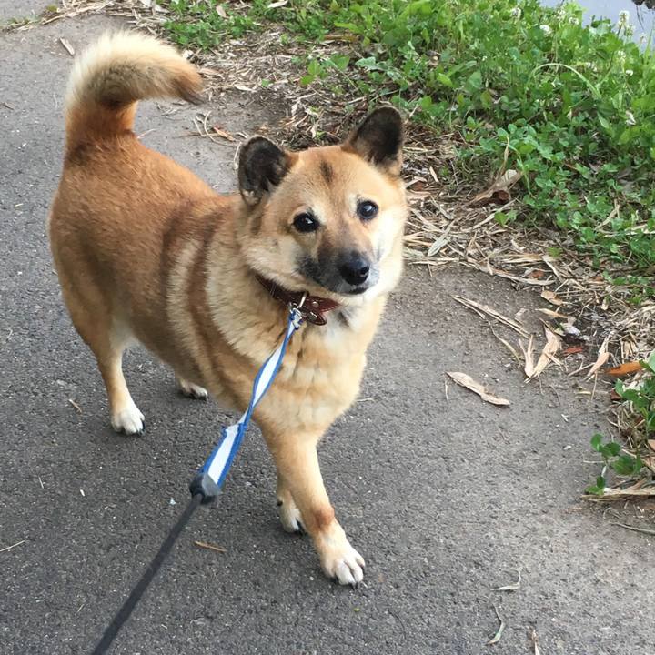 1edd5717 8887 439a a759 ebae1617af6d 1527239166024