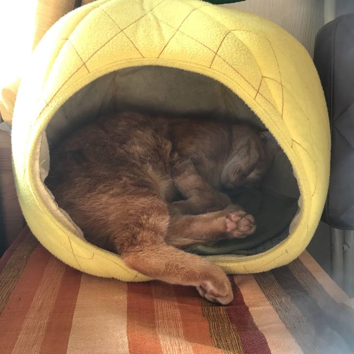 1edd58e7 2846 4f8d b02f cb8296875610 1548739593110