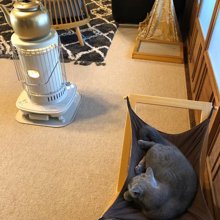 1edd5ac8 235d 4f07 bbfe a891ccde20e4 1575776155965