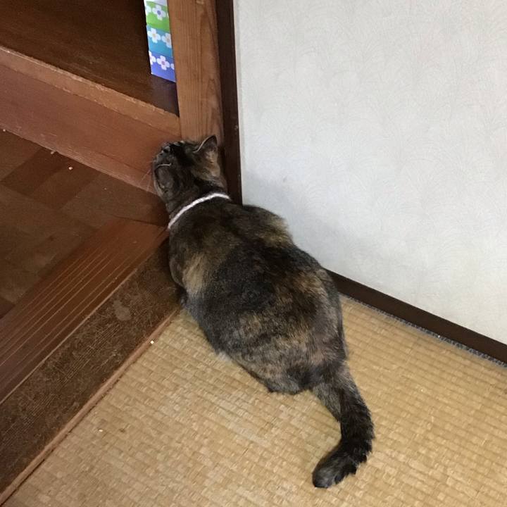 1edde6f8 675d 4288 8cbe 02fb71762e02 1695287659660