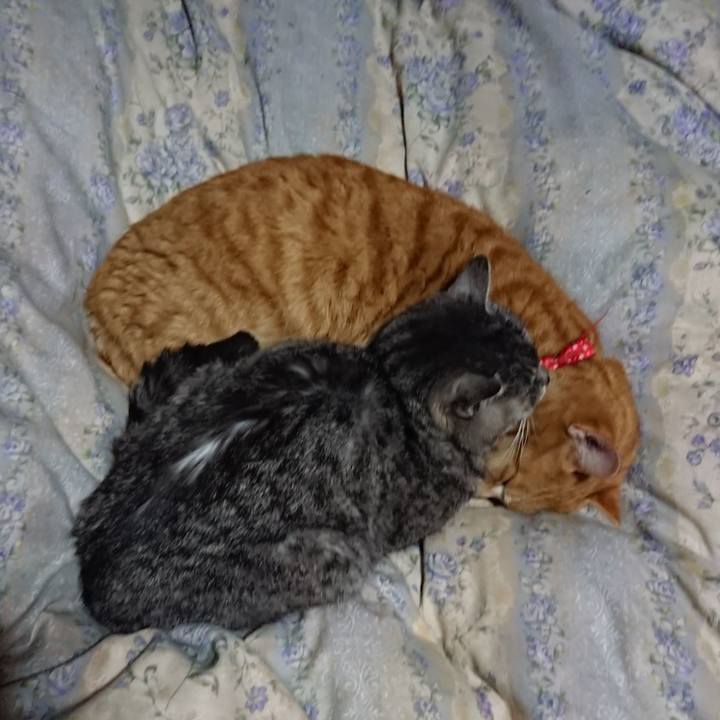 1ede0342 94b9 44b5 ad38 2145aea96fdb 1579781380426