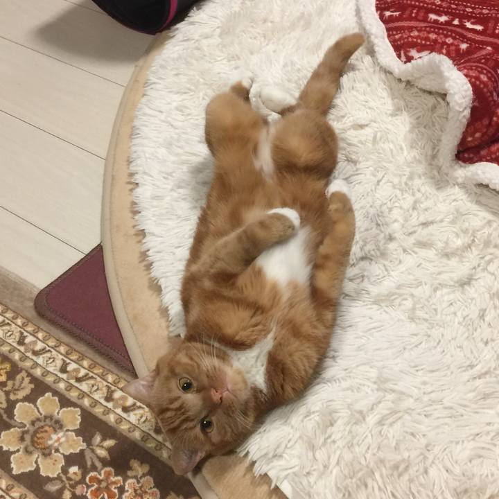 1ede084e b646 4307 9347 b56d63b46287 1549889085130