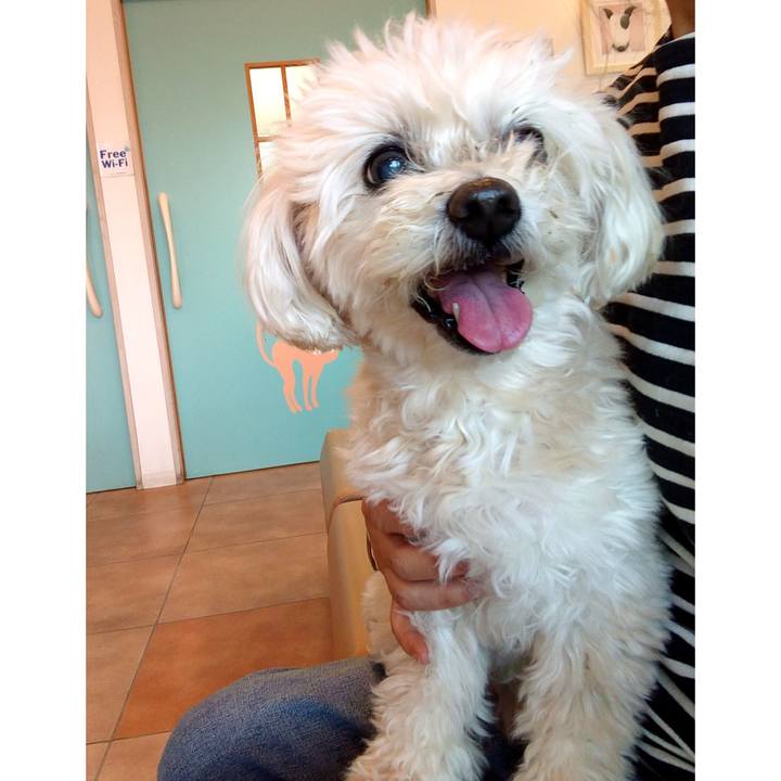 1ede0ce3 cd4b 4e67 ab0b 730247bbef2b 1680092869072