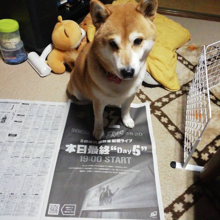 1ede1f64 cb1a 428b 9f3c 0ca7b5604f95 1606551777346