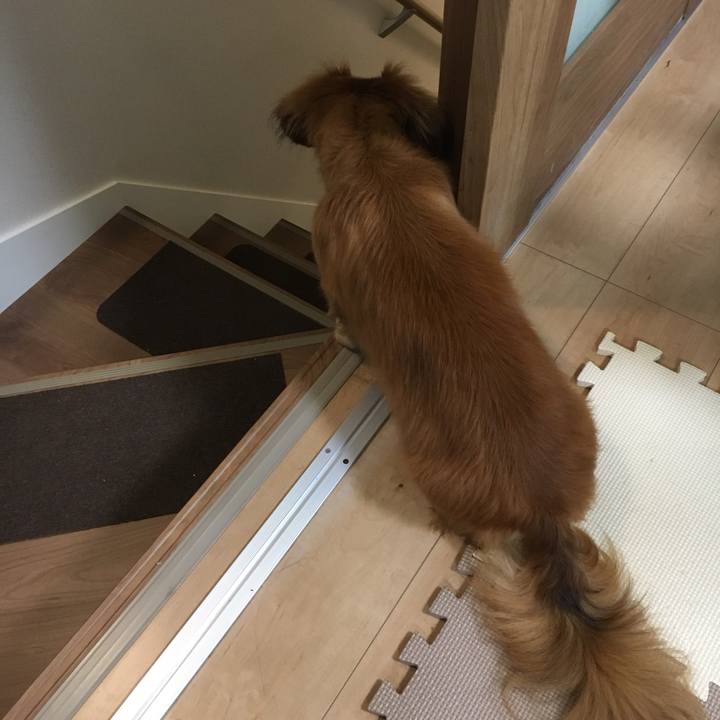 1ede230c a487 4f05 bc23 ab4fb96e07a2 1539873447825