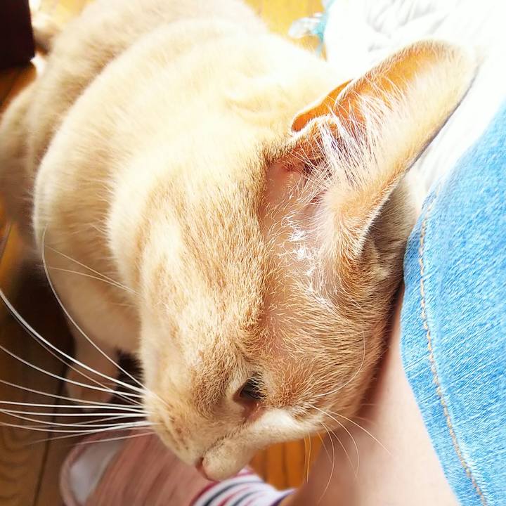 1ede40b6 d439 4a0d a0c5 a38da78dc1c5 1658563679516