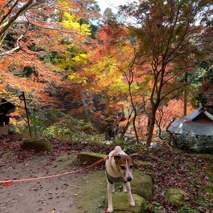 1edea5d7 684d 4251 93d9 787e57dd6a1e 1575115345617