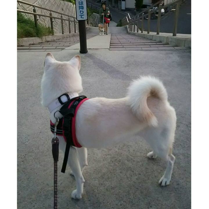 1edeb2f2 17d5 4e5c 9fd4 1dd437b0ac80 1540458905611