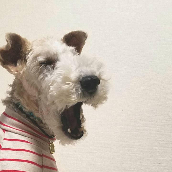 1eded80b acf8 41dd 95a8 9c3665f5e8e9 1550064185686