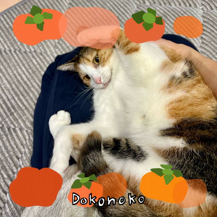 1edf0bd6 e10a 42bb 8738 8f9ebdedcc6d 1762745948182