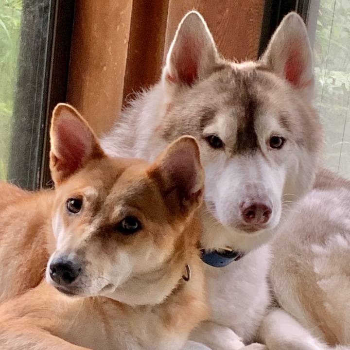 1edf2608 e41c 456b b3ec 7ed4499d23fe 1602477091258